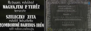 Szeleckzy Zita nagy sztár volt. Olyannyira, hogy külön tervező és ruhaszalon állította össze egy-egy filmje kollekcióját. Mint pl. az Eladó birtok és a Leányvásár c. filmek esetében.